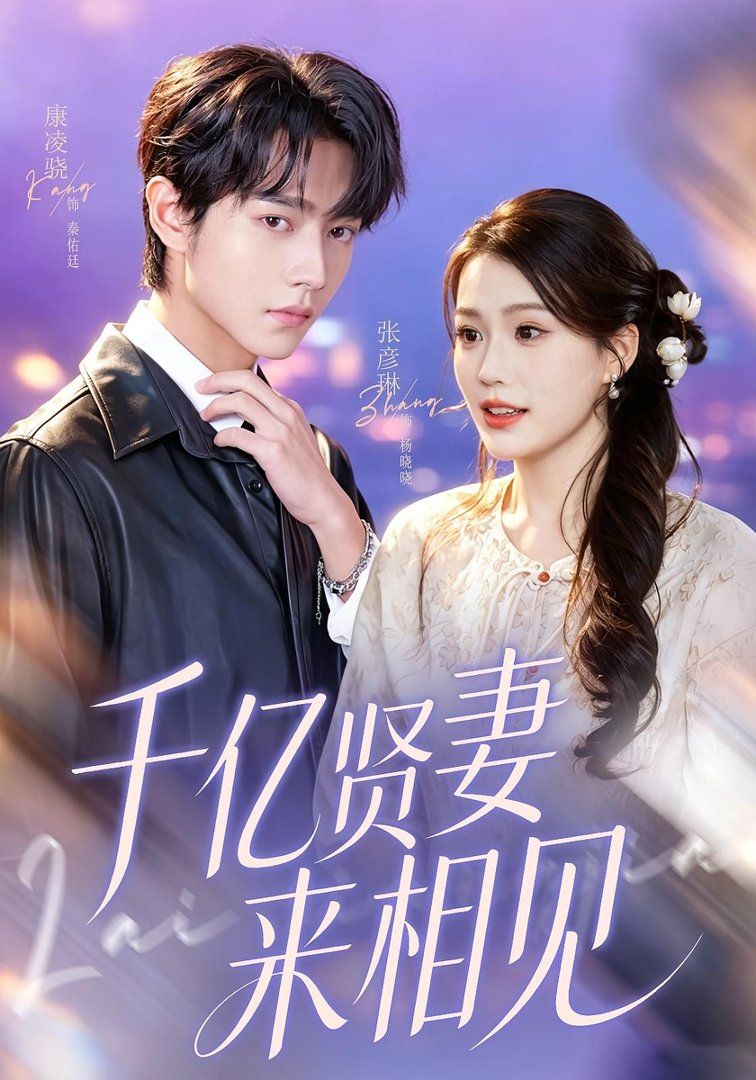 千亿贤妻来相见（钻石贤妻来相见）(全集)