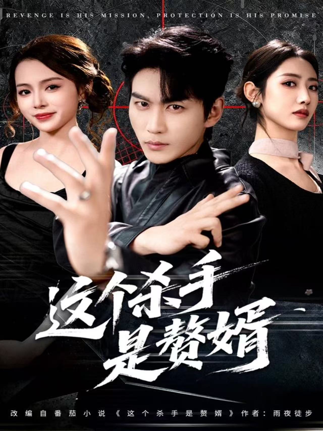 这个杀手是赘婿(全集)